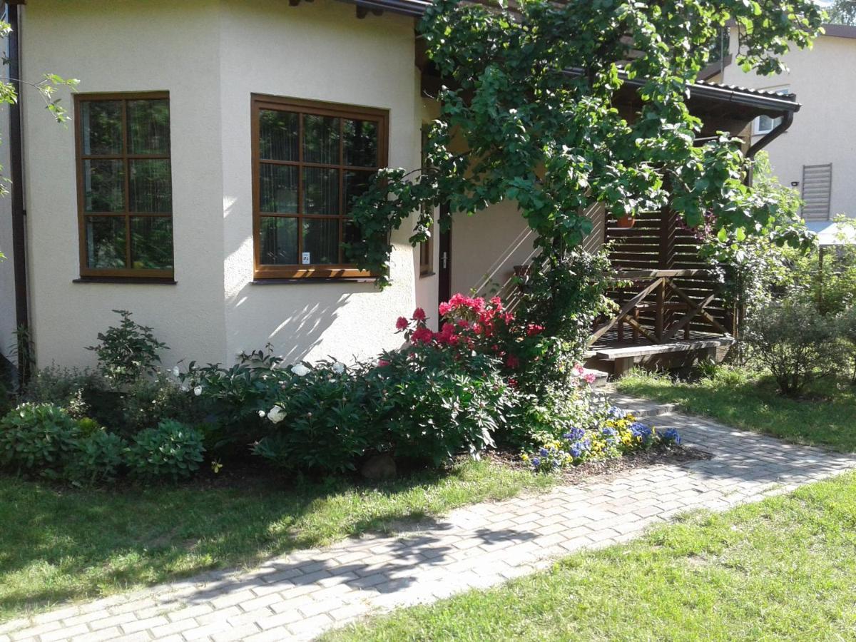 Boutigue City House With Terrace And Garden Free Parking Riga Exteriér fotografie